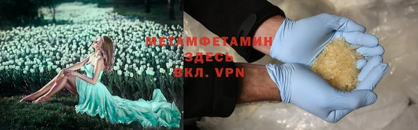 сатива Новокубанск