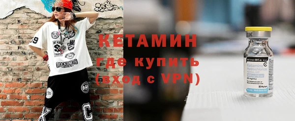 сатива Новокубанск