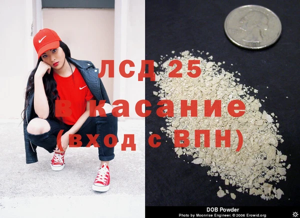 прущие крисы Новодвинск