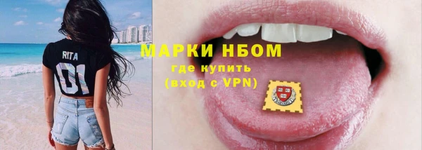 тгк Новозыбков
