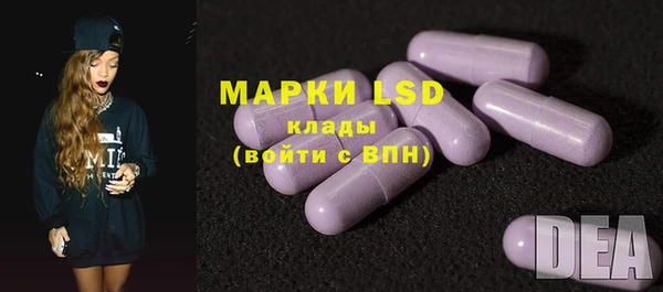 тгк Новозыбков