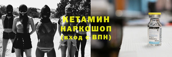 прущие крисы Новодвинск