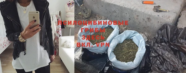 прущие крисы Новодвинск