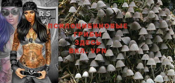 тгк Новозыбков