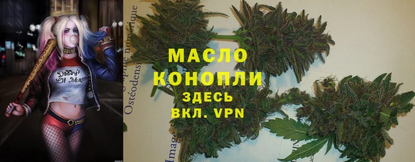 сатива Новокубанск