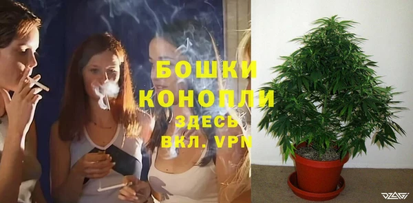 тгк Новозыбков
