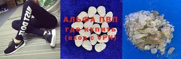 сатива Новокубанск