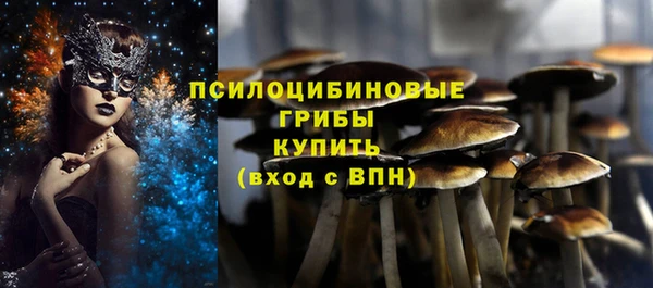 тгк Новозыбков