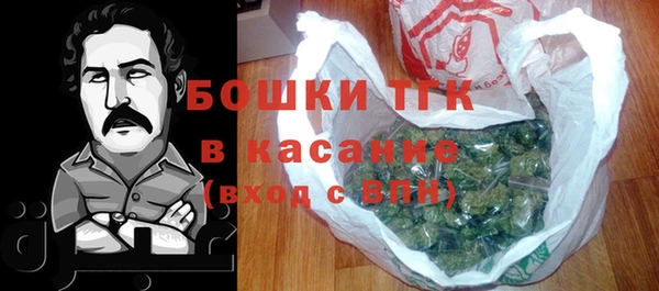 тгк Новозыбков