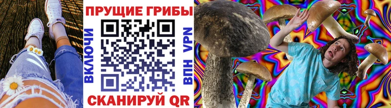 Галлюциногенные грибы мицелий  OMG вход  Тарко-Сале  даркнет сайт 
